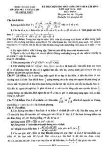 de-thi-chon-hoc-sinh-gioi-toan-lop-9-cap-tinh-nam-2024-2025 - Trang 1