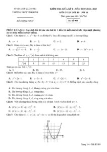 de-thi-giua-ky-2-toan-lop-10-nam-2024-2025-truong-thpt-vinh-linh - Trang 1