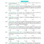 tuyen-tap-101-cau-hoi-va-bai-tap-van-dung-cao-toan-11-cung-loi-giai-chi-tiet - Trang 1