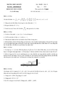 de-khao-sat-chat-luong-mon-toan-khoi-9-truong-thpt-chuyen-ha-noi-amsterdam-nam-2025 - Trang 1