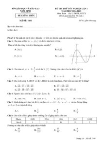 de-thi-thu-tot-nghiep-toan-lop-12-nam-2024-2025-ma-de-1101-co-dap-an-va-huong-dan-cham - Trang 1