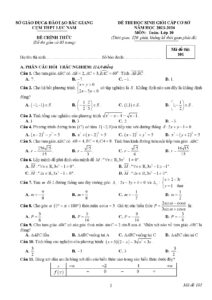 de-thi-hoc-sinh-gioi-toan-lop-10-cap-co-so-nam-hoc-2023-2024-cum-thpt-luc-nam - Trang 1