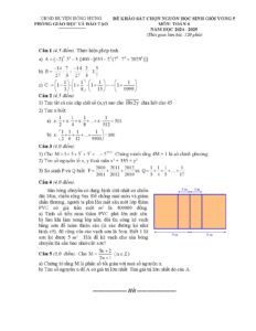 de-khao-sat-chon-nguon-hoc-sinh-gioi-toan-lop-6-nam-hoc-2024-2025-phong-giao-duc-va-dao-tao-huyen-dong-hung - Trang 1