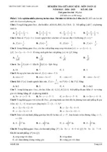 de-kiem-tra-giua-hoc-ky-ii-mon-toan-lop-12-nam-2024-2025-truong-thpt-viet-nam-ba-lan - Trang 1