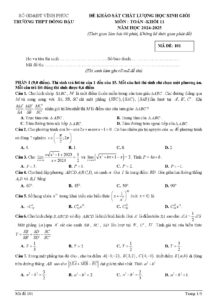 de-khao-sat-chat-luong-hoc-sinh-gioi-toan-khoi-11-nam-2024-2025-truong-thpt-dong-dau - Trang 1