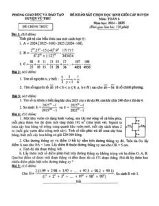 de-khao-sat-hoc-sinh-gioi-toan-lop-6-huyen-vu-thu-nam-hoc-2024-2025 - Trang 1