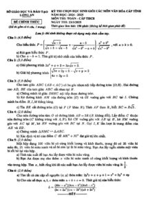 de-thi-chon-hoc-sinh-gioi-toan-thcs-tinh-long-an-nam-2024-2025 - Trang 1