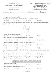 de-khao-sat-tot-nghiep-mon-toan-khoi-lop-12-nam-hoc-2024-2025-truong-thpt-so-1-bao-thang - Trang 1
