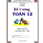 de-cuong-on-tap-toan-12-hoc-ky-2-nam-hoc-2017-2018-truong-thpt-phan-dang-luu - Trang 1